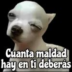 Si, si, ya a la pitufichingada