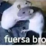 fuerza bro