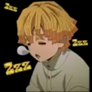 wsg1z1