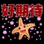 可愛海星 2