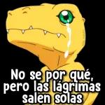 HERISTE MIS SENTIMIENTOS