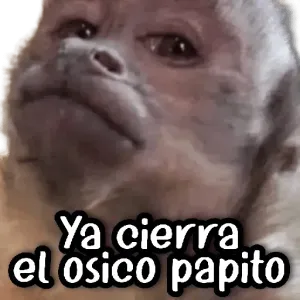 3m698kk