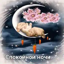 позитив