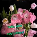 позитив