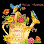 Viernes 