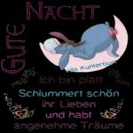 GUTE
NACHT
*****
Villa Kunterbunt
Ich bin platt
Schlummert schön
ihr Lieben
und habt
angenehme Träume