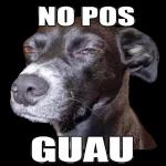 TE EXTRAÑO Yeisid 88. Owo