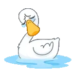 Por si quieres saber...