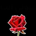 أستودعكمالله الذيلاتضيع ودائعه