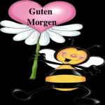 Guten Morgen