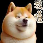 圓柴柴4：柴腹自由 薯條加大