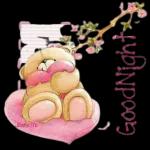 Good Night
Sweet Dreams