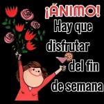 lovely flowers for lovely people🌹😘😘