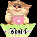 Guten Morgen