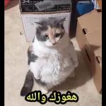 صباح
الخيرات
والأمطار والبركات