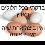 LOVE yoR היוצרים של ילי