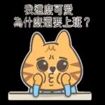 布丁的貓職場日常