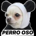 Ya la tengo oo mojadita como te gusta ¿Quieres ver? 