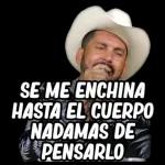 lolo