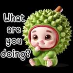 Funny Durian