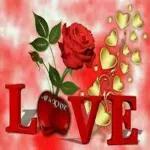 good morning sunshine