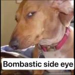 A couple is kissing under a tree.