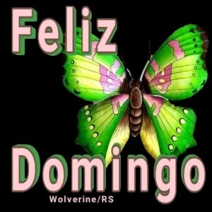 Feliz Domingo Wolverine/RS - getsticker.com