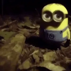 zAmoQR