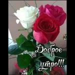 Доброе утро  ☀  ☀