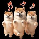 圓柴柴4：柴腹自由 薯條加大