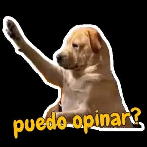 puedo opinar? - getsticker.com