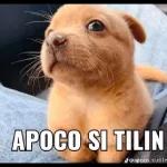 Wey ya