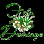 Have a nice day