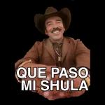 QUE PASO MI SHULA