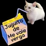 CALLESE HIJUEPUTA gr