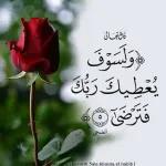 كل عام
وانتم
بخير
تارا
عساكم
من
عواده