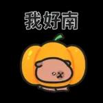 小水豚（諧音梗篇）