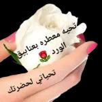 حسبى الله ونعم الوكيل