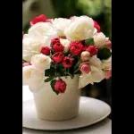 sans ordonnance semelles