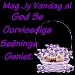 Mag Jy Vandag al God Se Oorvloedige Seëninge Geniet. Koester Die Lewe