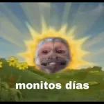 monito 