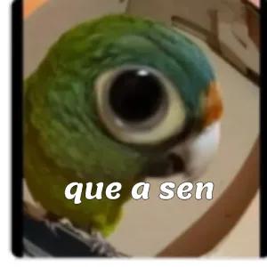 2JcFln