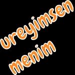 Bir Denem