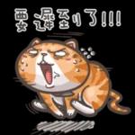 橘猫上班💼记 pack1