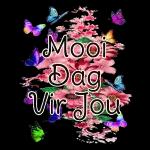 goeie môre 2