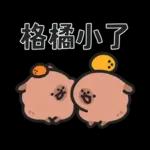 小水豚（諧音梗篇）