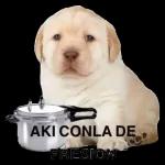  por favor espere...