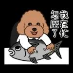 今天好屏友 × DT貴賓俱樂部