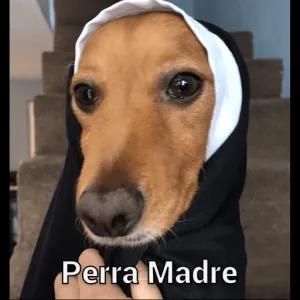 Perra Madre - getsticker.com