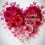 Good Night Sweet Dreams